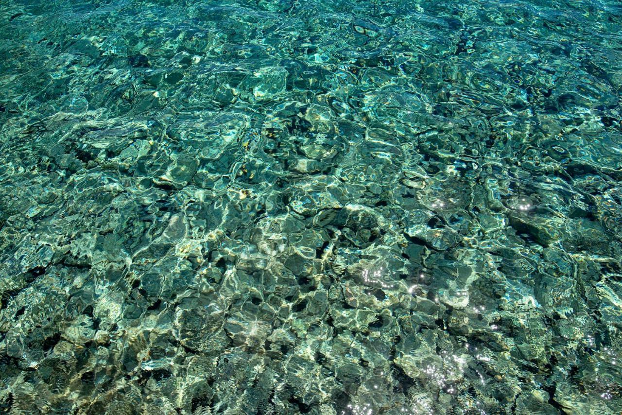 Villa Kalypso Chalki Town Exterior foto